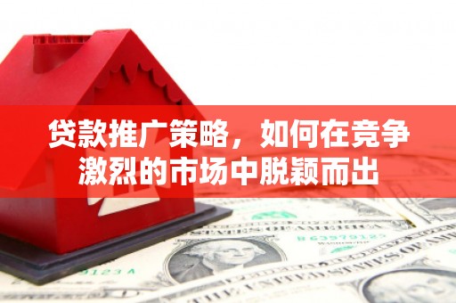 武隆贷款推广策略，如何在竞争激烈的市场中脱颖而出