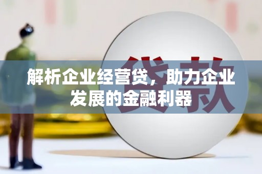 武隆解析企业经营贷，助力企业发展的金融利器