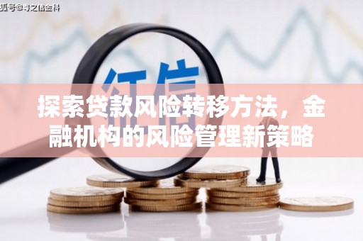 武隆探索贷款风险转移方法，金融机构的风险管理新策略