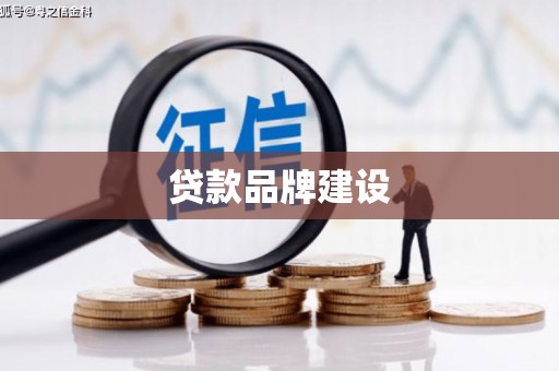 武隆贷款品牌建设