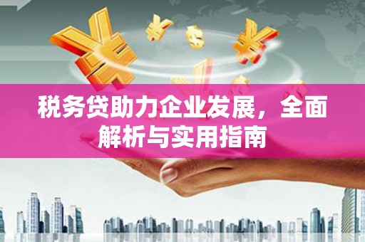 武隆税务贷助力企业发展，全面解析与实用指南