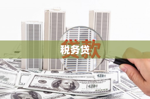 武隆税务贷