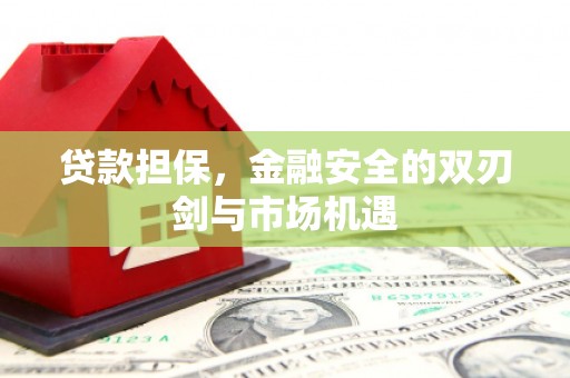 武隆贷款担保，金融安全的双刃剑与市场机遇