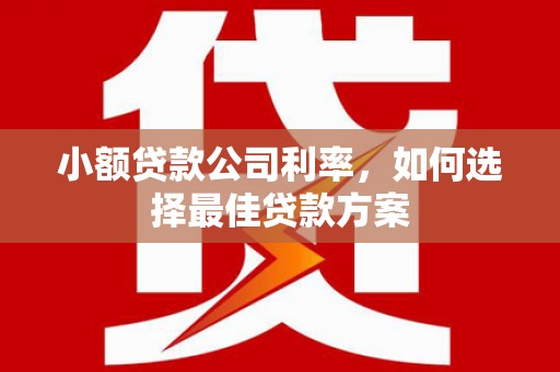 武隆小额贷款公司利率，如何选择最佳贷款方案