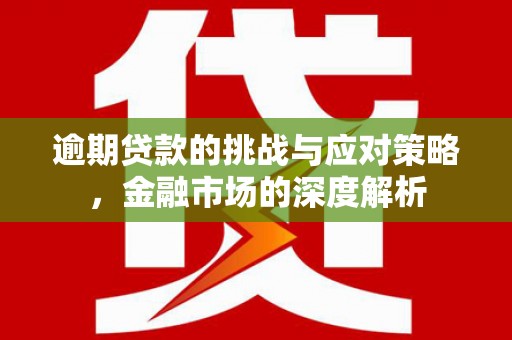 武隆逾期贷款的挑战与应对策略，金融市场的深度解析