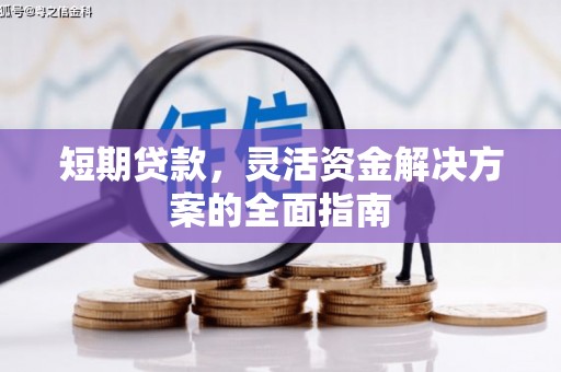 武隆短期贷款，灵活资金解决方案的全面指南