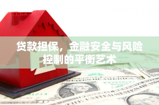 武隆贷款担保，金融安全与风险控制的平衡艺术