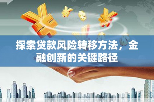 武隆探索贷款风险转移方法，金融创新的关键路径