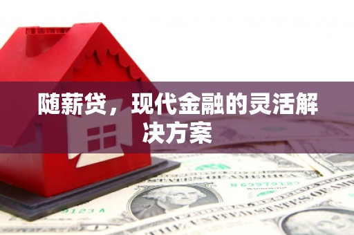 武隆随薪贷，现代金融的灵活解决方案