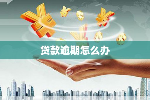 武隆贷款逾期怎么办