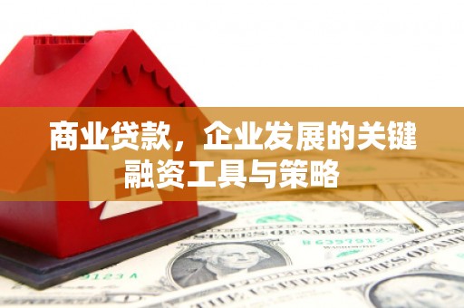 武隆商业贷款，企业发展的关键融资工具与策略