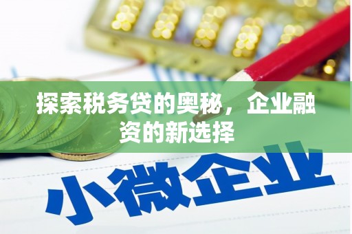 武隆探索税务贷的奥秘，企业融资的新选择