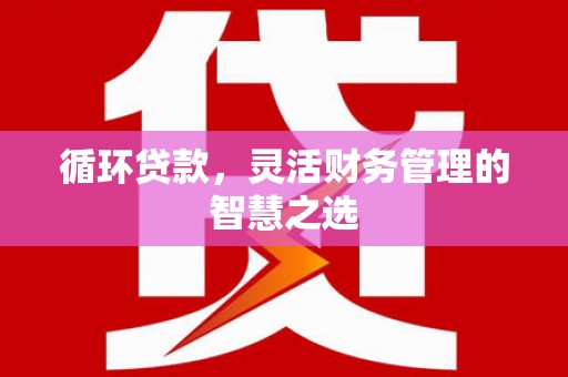 武隆循环贷款，灵活财务管理的智慧之选