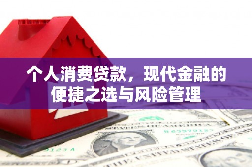 武隆个人消费贷款，现代金融的便捷之选与风险管理