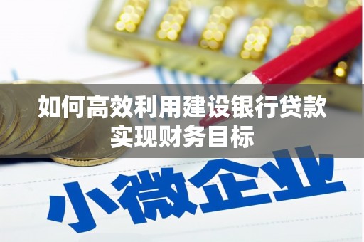 武隆如何高效利用建设银行贷款实现财务目标