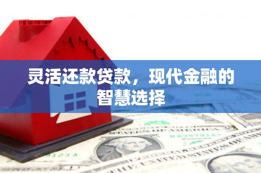 武隆灵活还款贷款，现代金融的智慧选择