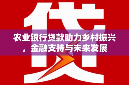 武隆农业银行贷款助力乡村振兴，金融支持与未来发展