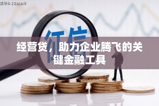 武隆经营贷，助力企业腾飞的关键金融工具