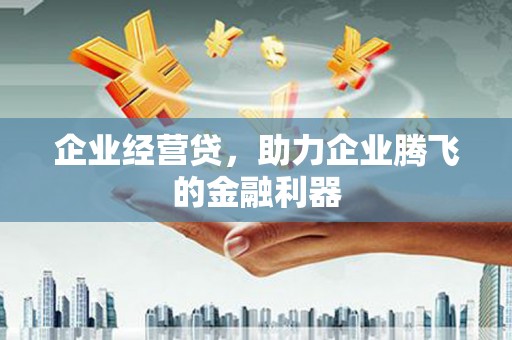 武隆企业经营贷，助力企业腾飞的金融利器