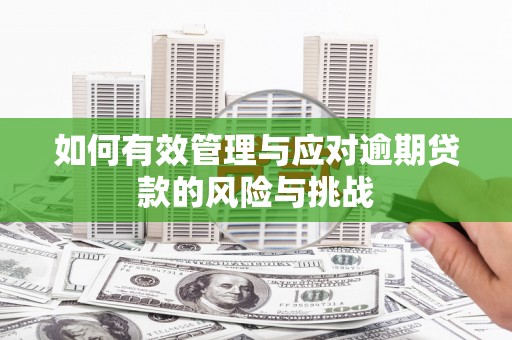 武隆如何有效管理与应对逾期贷款的风险与挑战