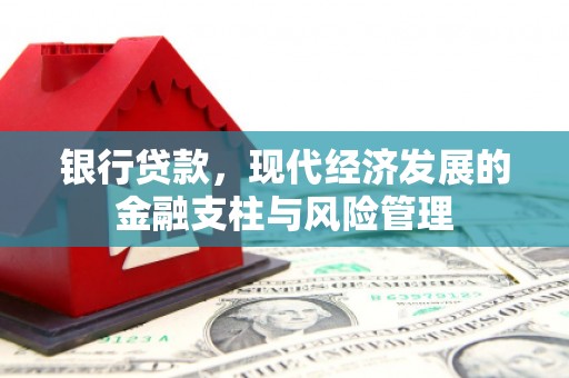 武隆银行贷款，现代经济发展的金融支柱与风险管理