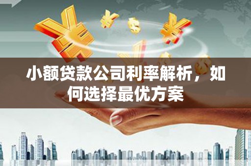 武隆小额贷款公司利率解析，如何选择最优方案