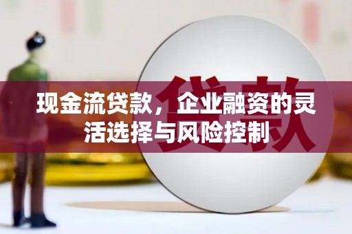 武隆现金流贷款，企业融资的灵活选择与风险控制