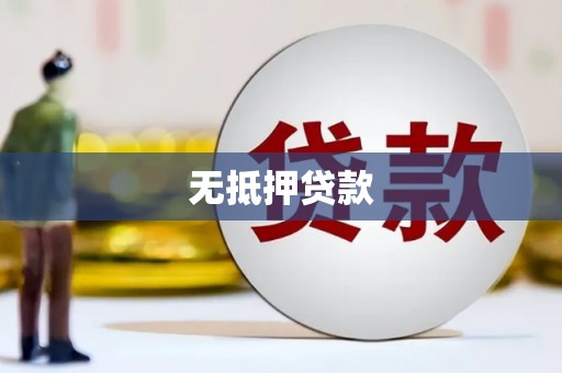 武隆无抵押贷款