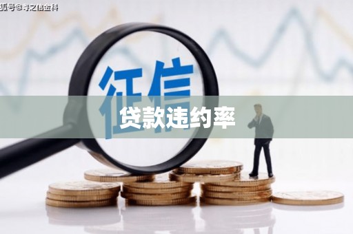 武隆贷款违约率