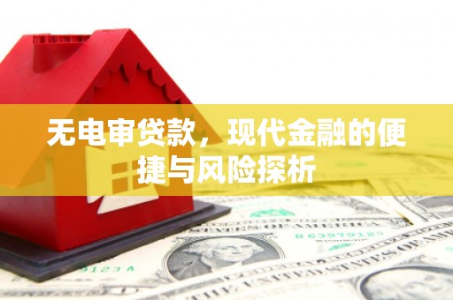 武隆无电审贷款，现代金融的便捷与风险探析