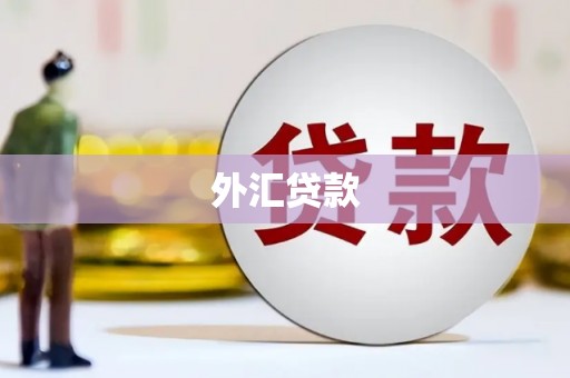 武隆外汇贷款