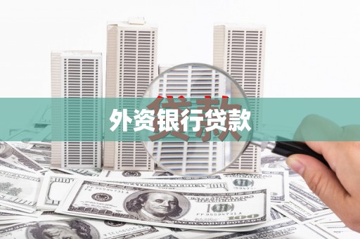 武隆外资银行贷款