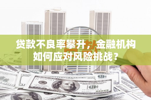 武隆贷款不良率攀升，金融机构如何应对风险挑战？