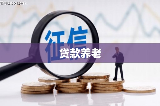 武隆贷款养老