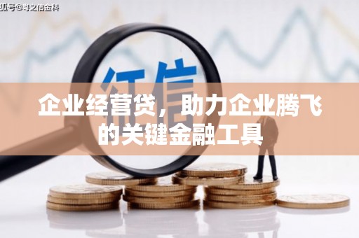 武隆企业经营贷，助力企业腾飞的关键金融工具