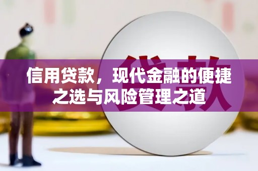 武隆信用贷款，现代金融的便捷之选与风险管理之道