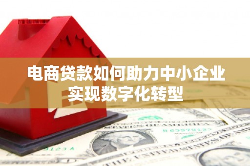 武隆电商贷款如何助力中小企业实现数字化转型