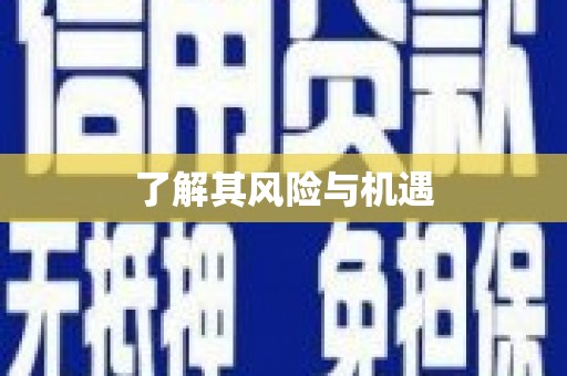 武隆了解其风险与机遇