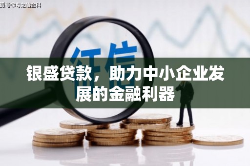武隆银盛贷款，助力中小企业发展的金融利器