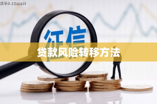 武隆贷款风险转移方法