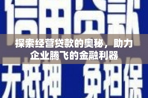 武隆探索经营贷款的奥秘，助力企业腾飞的金融利器