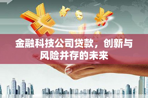 武隆金融科技公司贷款，创新与风险并存的未来