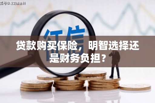 武隆贷款购买保险，明智选择还是财务负担？
