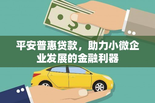 武隆平安普惠贷款，助力小微企业发展的金融利器
