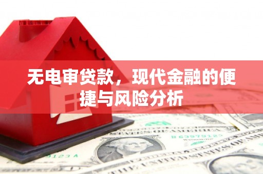 武隆无电审贷款，现代金融的便捷与风险分析