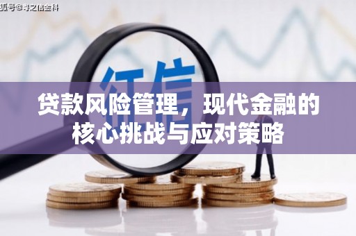 武隆贷款风险管理，现代金融的核心挑战与应对策略