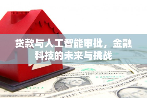 武隆贷款与人工智能审批，金融科技的未来与挑战