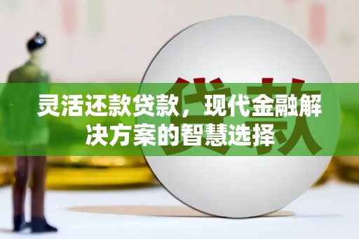 武隆灵活还款贷款，现代金融解决方案的智慧选择