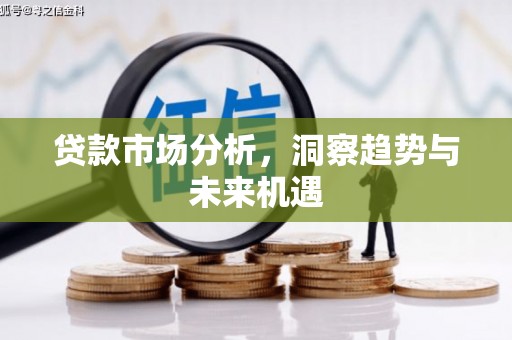 武隆贷款市场分析，洞察趋势与未来机遇