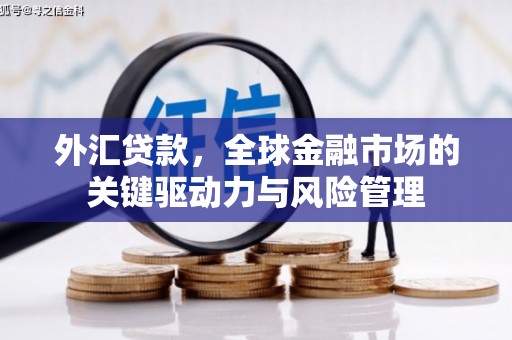 武隆外汇贷款，全球金融市场的关键驱动力与风险管理